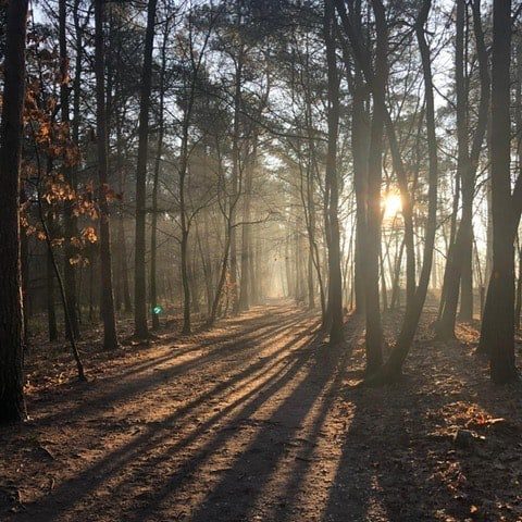 je-licht-laten-schijnen